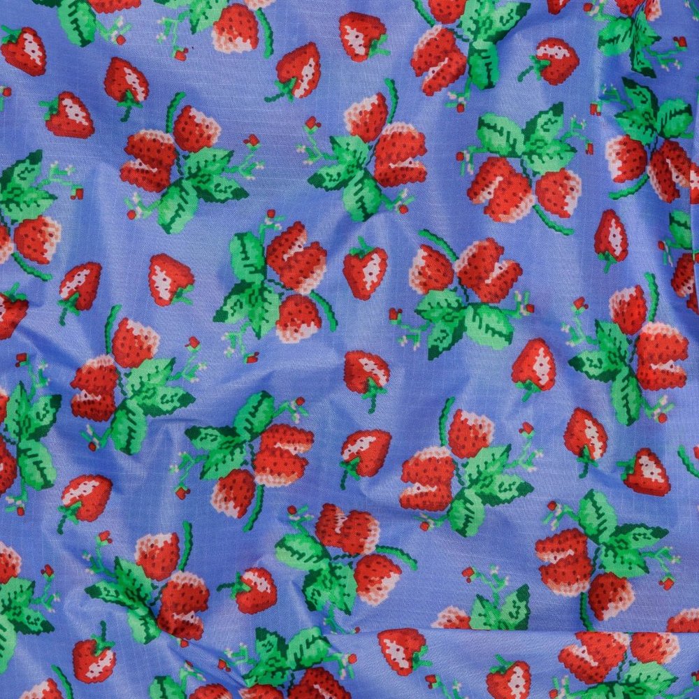 NWT Standard Baggu - Wild Strawberries - Picture 6 of 8